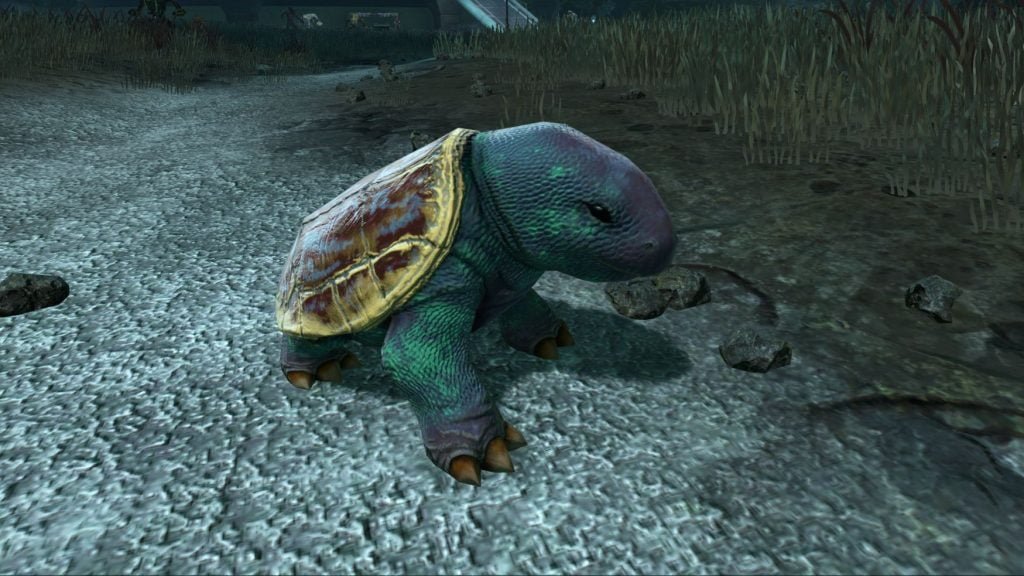 SWTOR Game Update 7.1 Manaan Reputation Vendor Turtle Pet