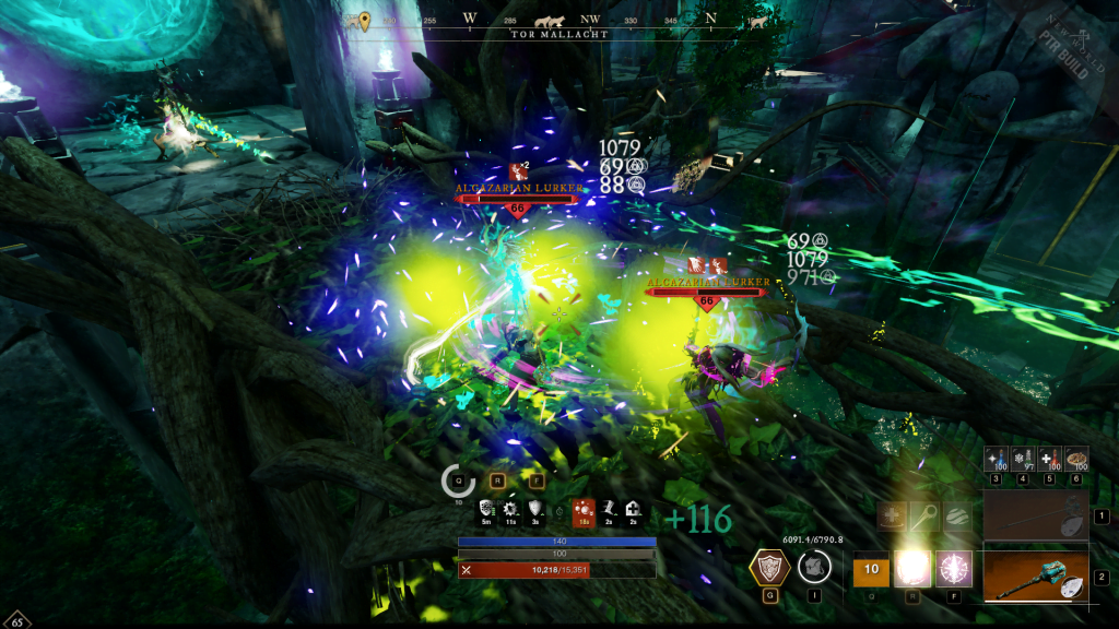 New World Tor Mallacht Level 65 Solo Area PTR