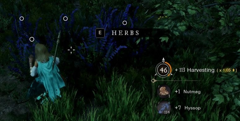 New World Aeternum gathering Herbs