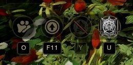 New World Aeternum Faction Icon not Flagged for PvP UI